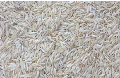 1509 Basmati Rice